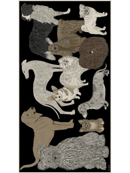 inoui editions foulard toutou