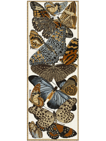 inoui editions foulard papillons