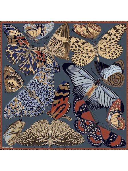 inoui editions foulard papillons