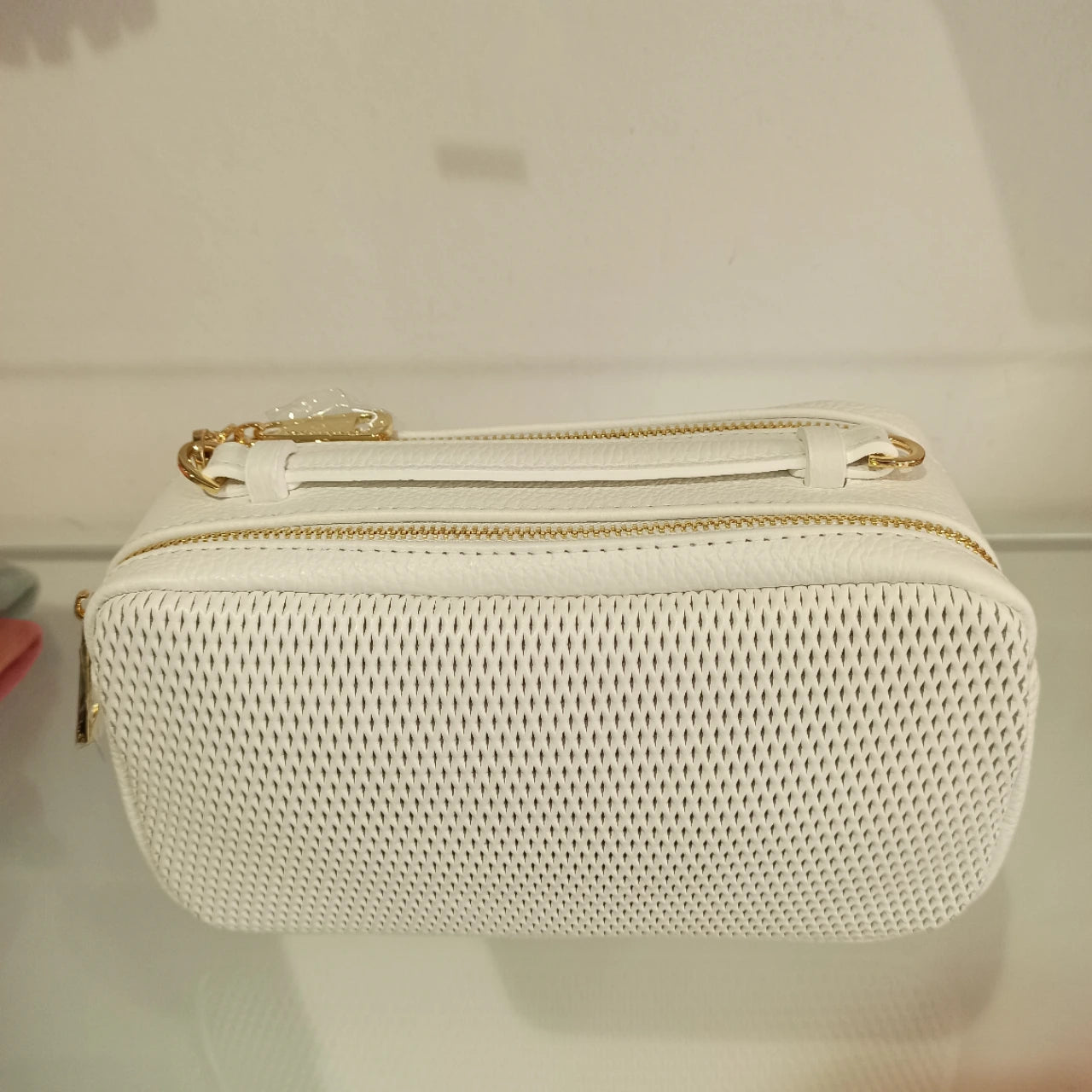 sac roberta gandolfi